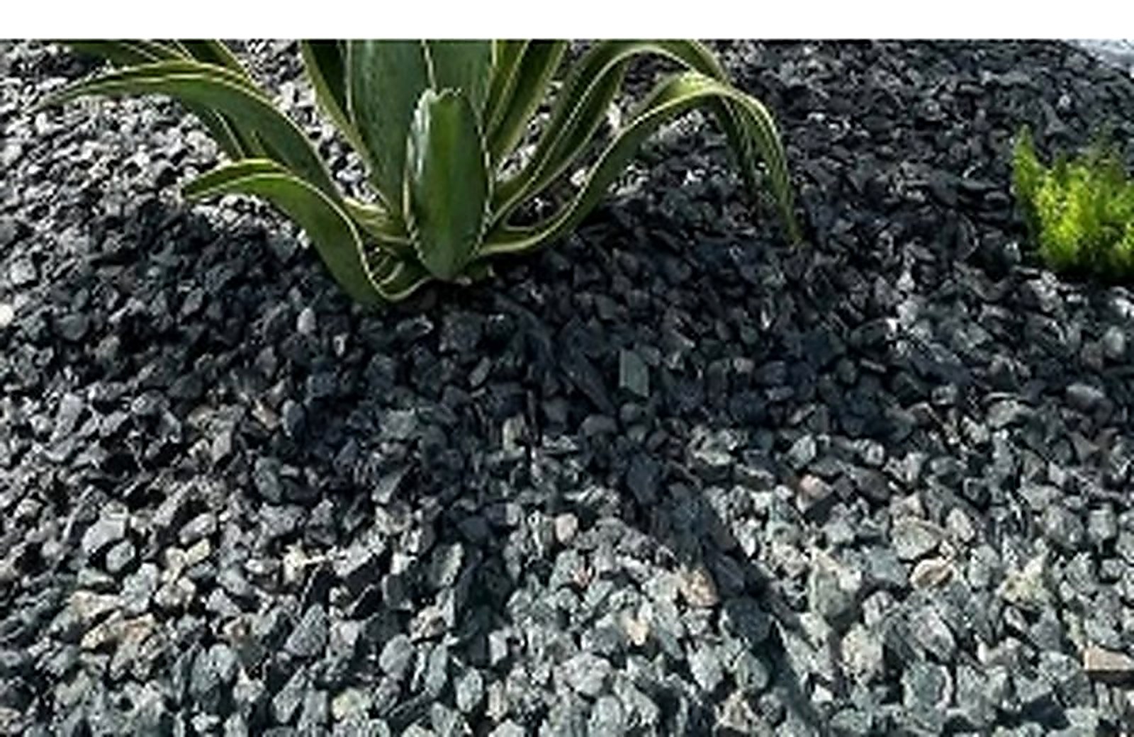 Rock Design Turf Project Artificial grass and rock design project